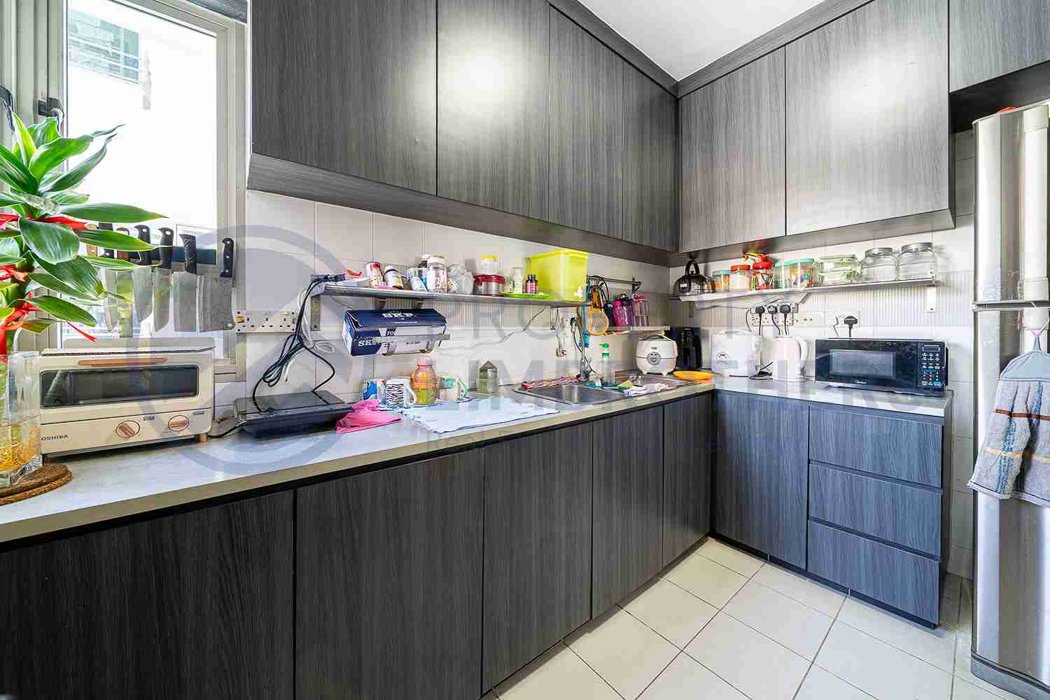 275D Compassvale Link